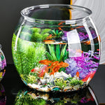 Clear Round Fish Bowl Vase Tank
