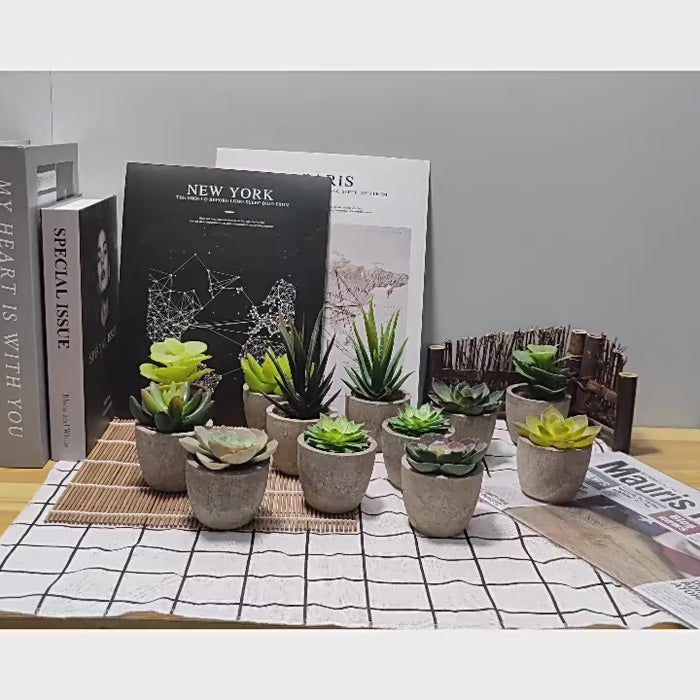 Artificial Succulent Plants