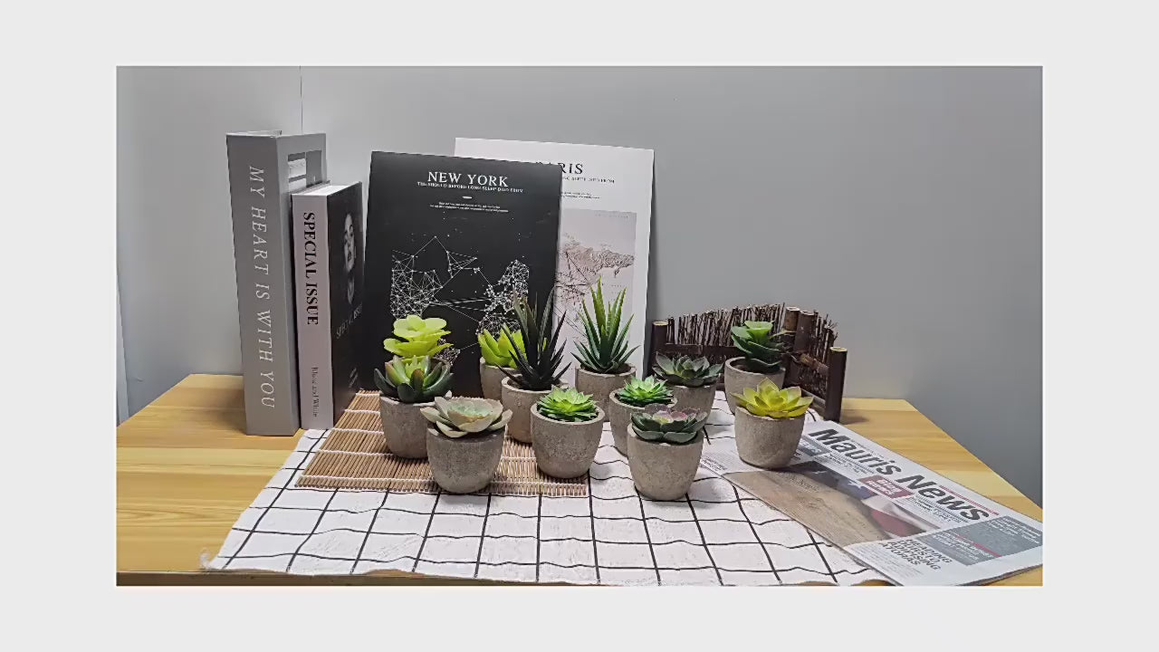 Artificial Succulent Plants