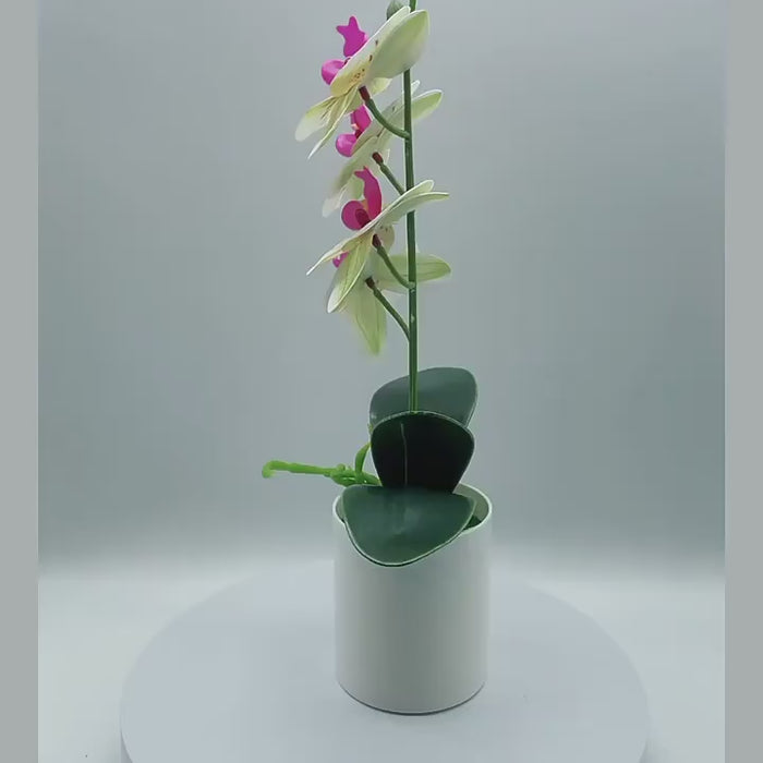 Fake Phalaenopsis Bonsai Decor