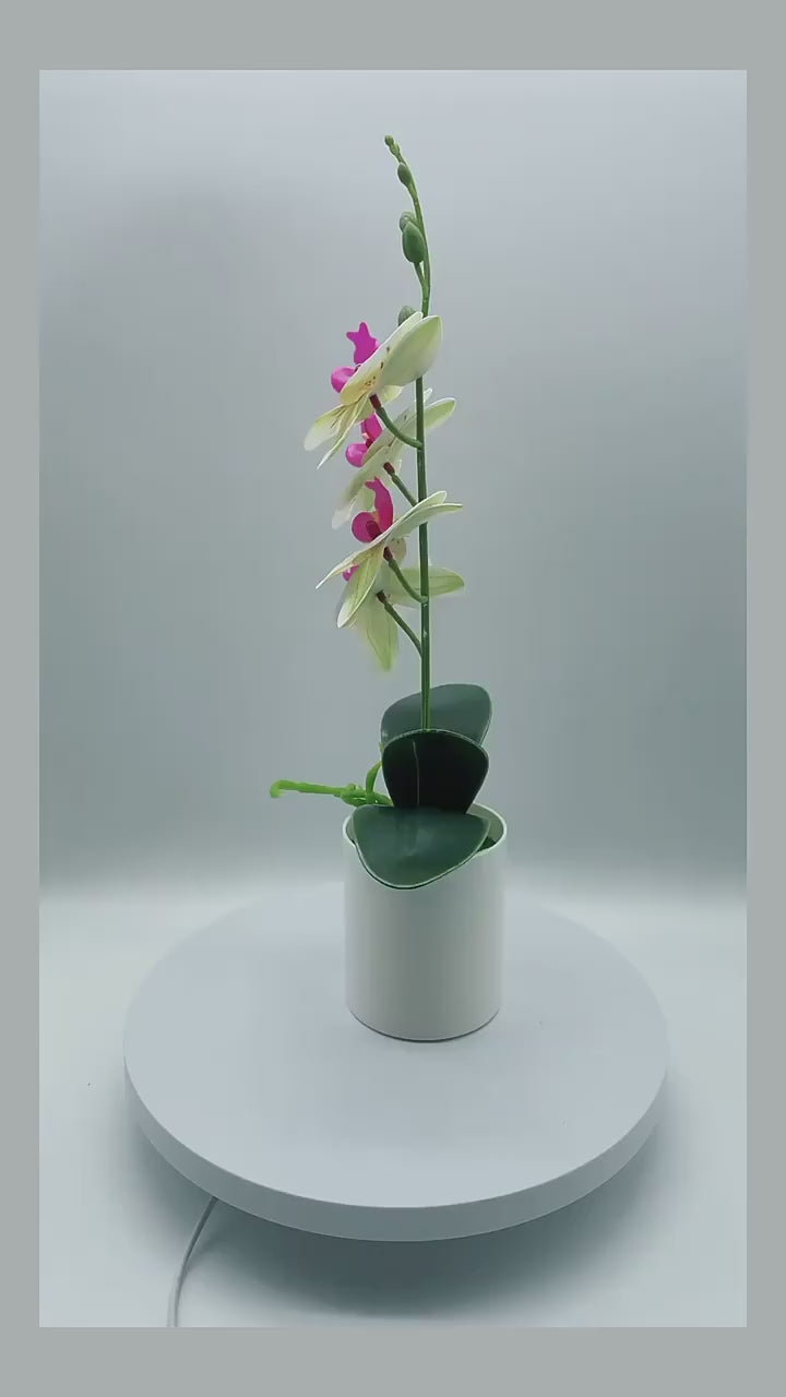 Fake Phalaenopsis Bonsai Decor