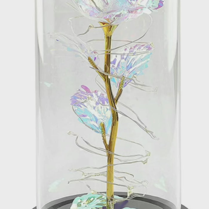 Rainbow Rose in Glass Dome Gift