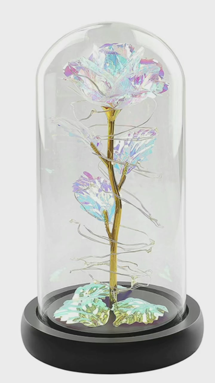 Rainbow Rose in Glass Dome Gift